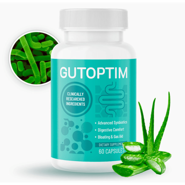 GutOptim: Testing Effectiveness & Safety (SMC Analysis Report)