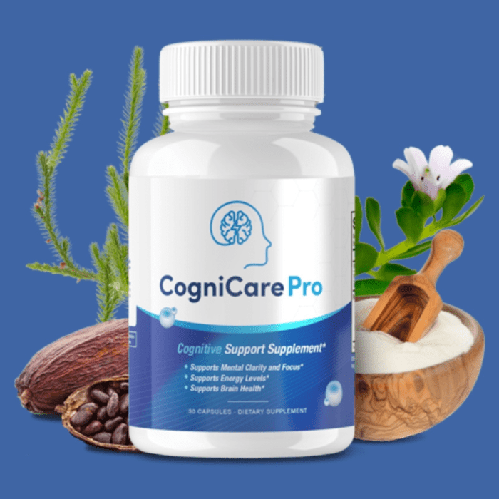 CogniCare Pro: Testing Effectiveness & Safety (SMC Analysis Report)