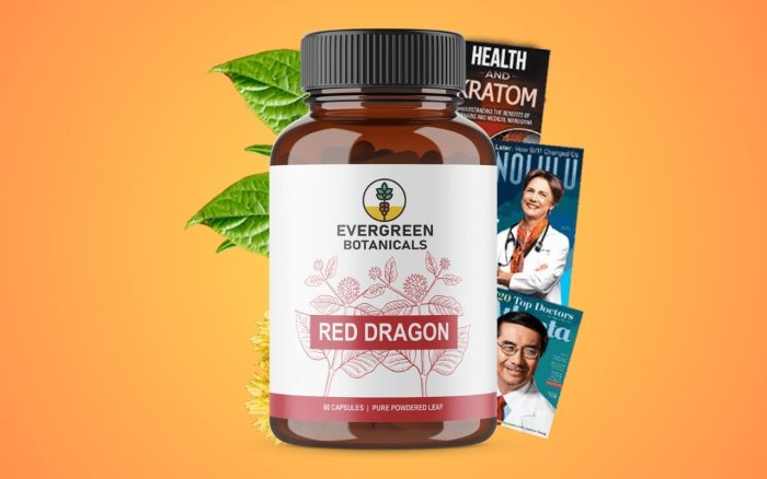 Evergreen Botanical Red Dragon Kratom: Testing Effectiveness & Safety (SMC Analysis Report)