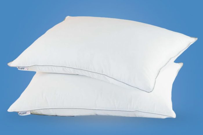 FluffCo Zen Pillow: Testing Effectiveness & Safety (SMC Analysis Report)
