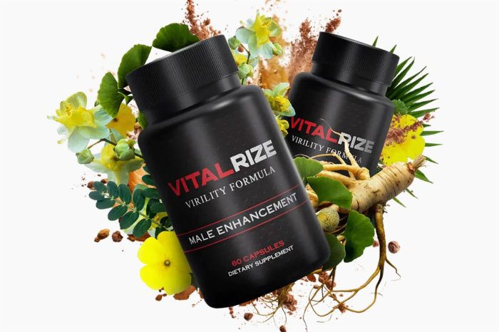 VitalRIZE: Testing Effectiveness & Safety (SMC Analysis Report)