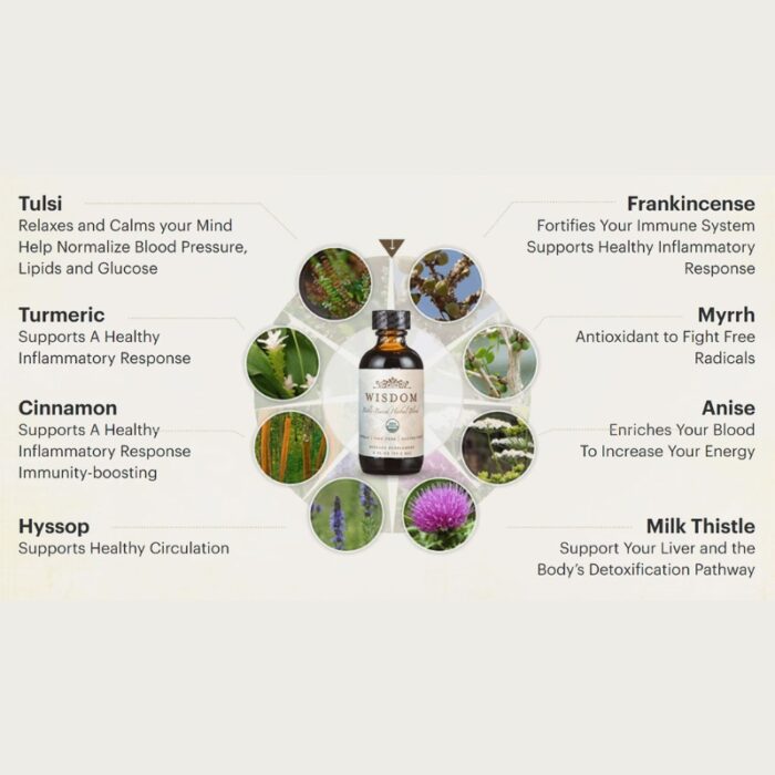 Wisdom Nutrition: Testing Effectiveness & Safety (SMC Analysis Report) - Image 2