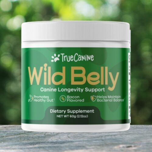 Wild Belly Canine Probiotic